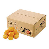 【お歳暮】【WNF】熊本県産 汐みかん 5.0kg(Mサイズ) | 着日指定不可 / 12月1日より順次お届け