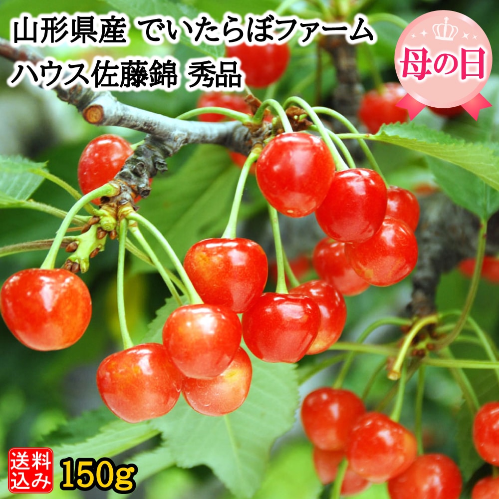 【母の日ギフト】【WF】山形県 でいたらぼファーム ハウス佐藤錦 秀品 150g Lサイズ・24粒・化粧箱入 | 着日指定不可 / 沖縄・離島配送不可
