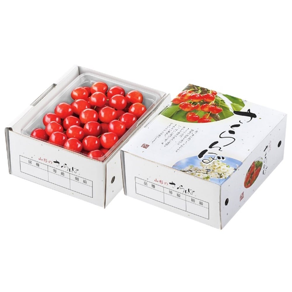 【お取り寄せ】【WNF】山形県産 さくらんぼ（佐藤錦もしくは紅秀峰） 500g | 着日指定不可 / 沖縄・離島配送不可 / 6月上旬より順次お届け