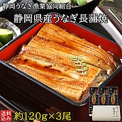 【お取り寄せ】【WNF】成城石井バイヤーセレクト！静岡うなぎ漁業協同組合 静岡県産うなぎ長蒲焼 3尾セット(1尾約120g×3パック) | 着日指定不可