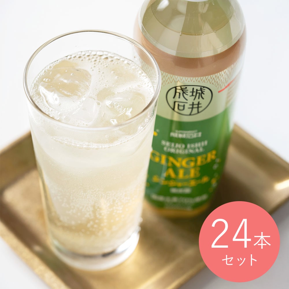 【送料込み】【EK】 成城石井 ジンジャーエール 500ml×24本 【ケース販売】