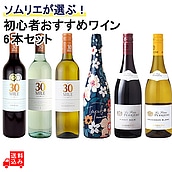 【送料込み】ソムリエが選ぶ! 初心者おすすめワイン6本セット 750ml×6本 【DB】