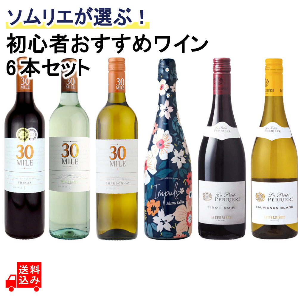 ソムリエが選ぶ! 初心者おすすめワイン6本セット 750ml×6本