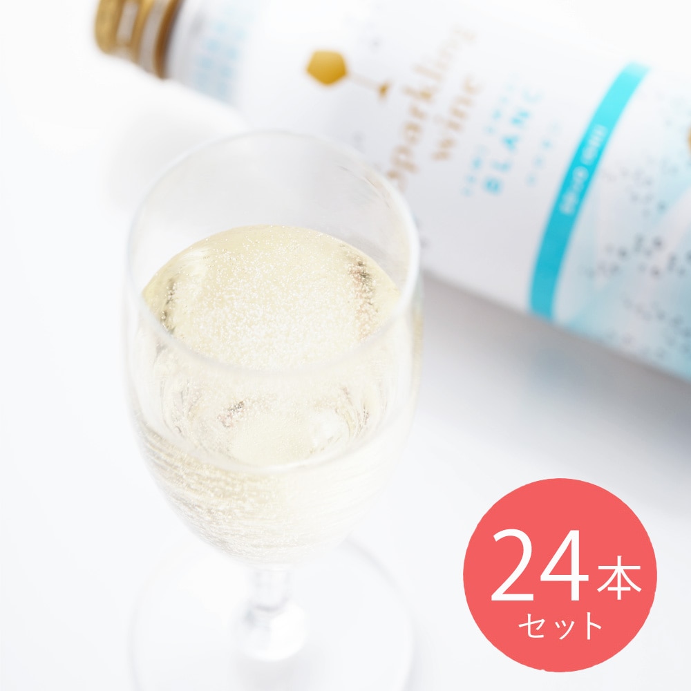 【送料込み】 成城石井 スパークリングワイン セミスイート 290ml×24本