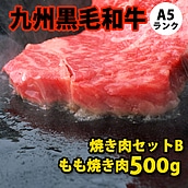 【お取り寄せ】【S】九州黒毛和牛 A5ランク 焼き肉セット 【B】 500g | D+2