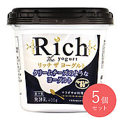 共進 リッチザヨーグルト 400g×5個