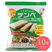 マルシン食品 テンペ 100g×10個