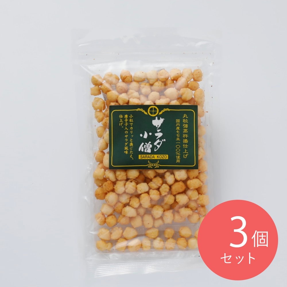 山盛堂本舗 サラダ小僧 82g×3個