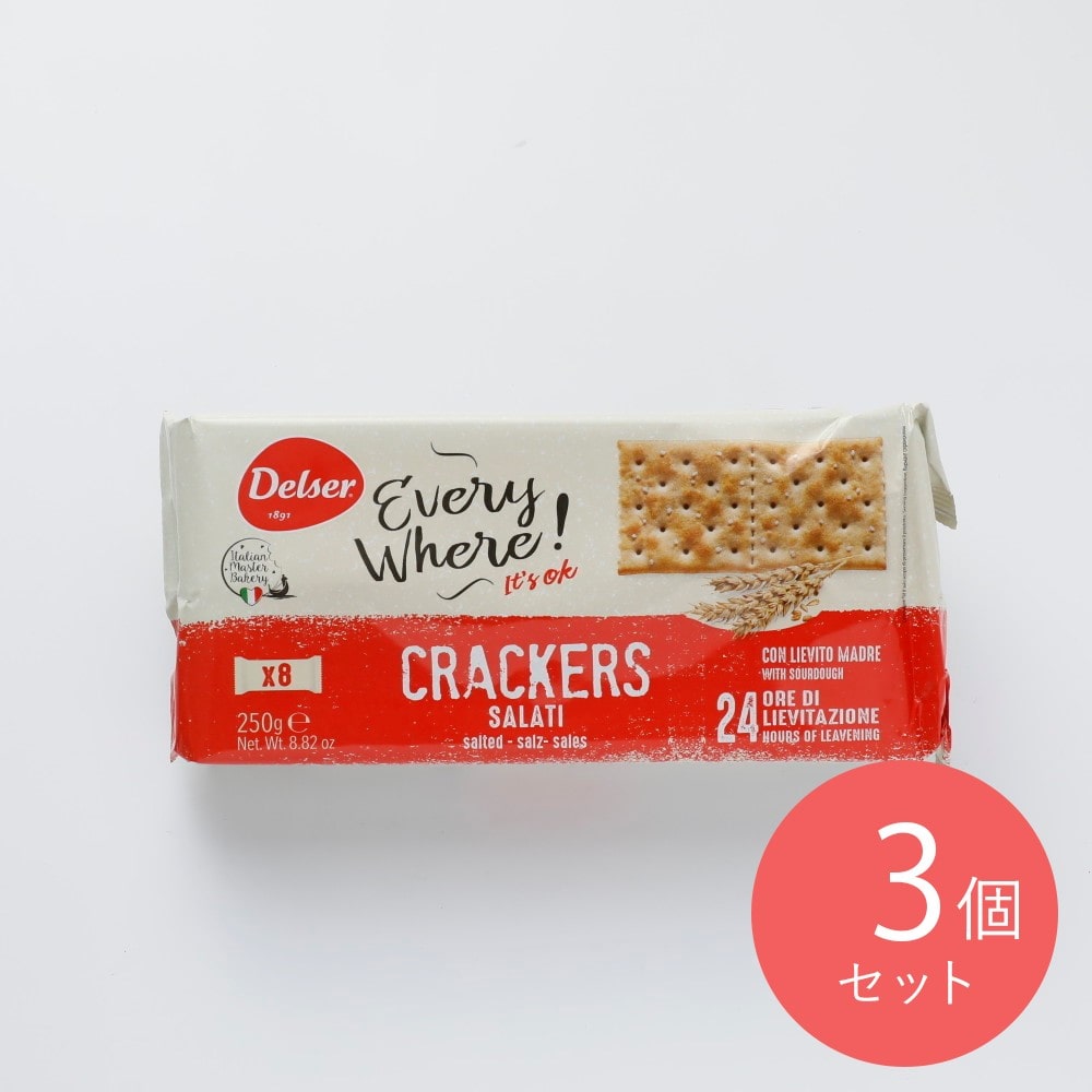 デルセール ソルティンクラッカー 250g×3個