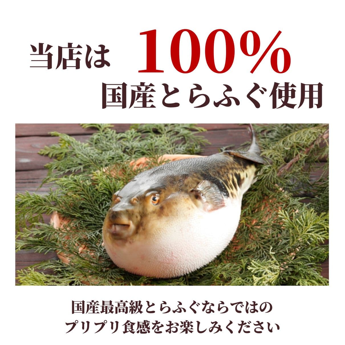 玄品 通販限定 国産とらふぐ刺身(てっさ)昆布締め仕立て 2人前 & とらふぐ皮の湯引き