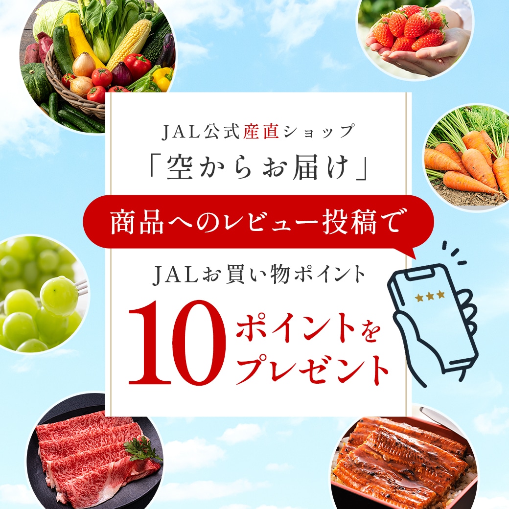 レビュー投稿キャンペーン