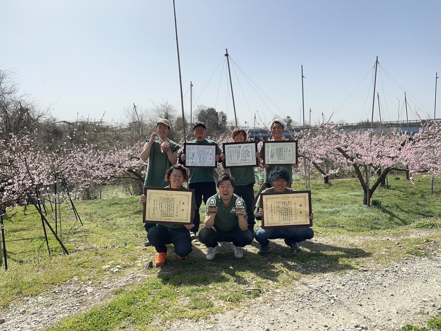 川中島白桃 (山形県産/秀品)・白桃の王道品種【アンスリーファーム】《予約販売9月中旬頃発送》送料無料 宅配 川中島白桃 約2㎏ 5玉～8玉入り