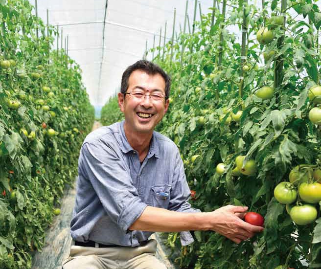 〔トマトジュース〕500ml×5本甘くて味わい深い本物!「くまさんファーム」 宅配 5本