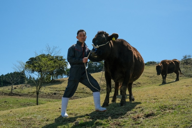 120g×5個 宮崎県産八崎牛のハンバーグ 熟成の極み！「鏡山牧場」 5個