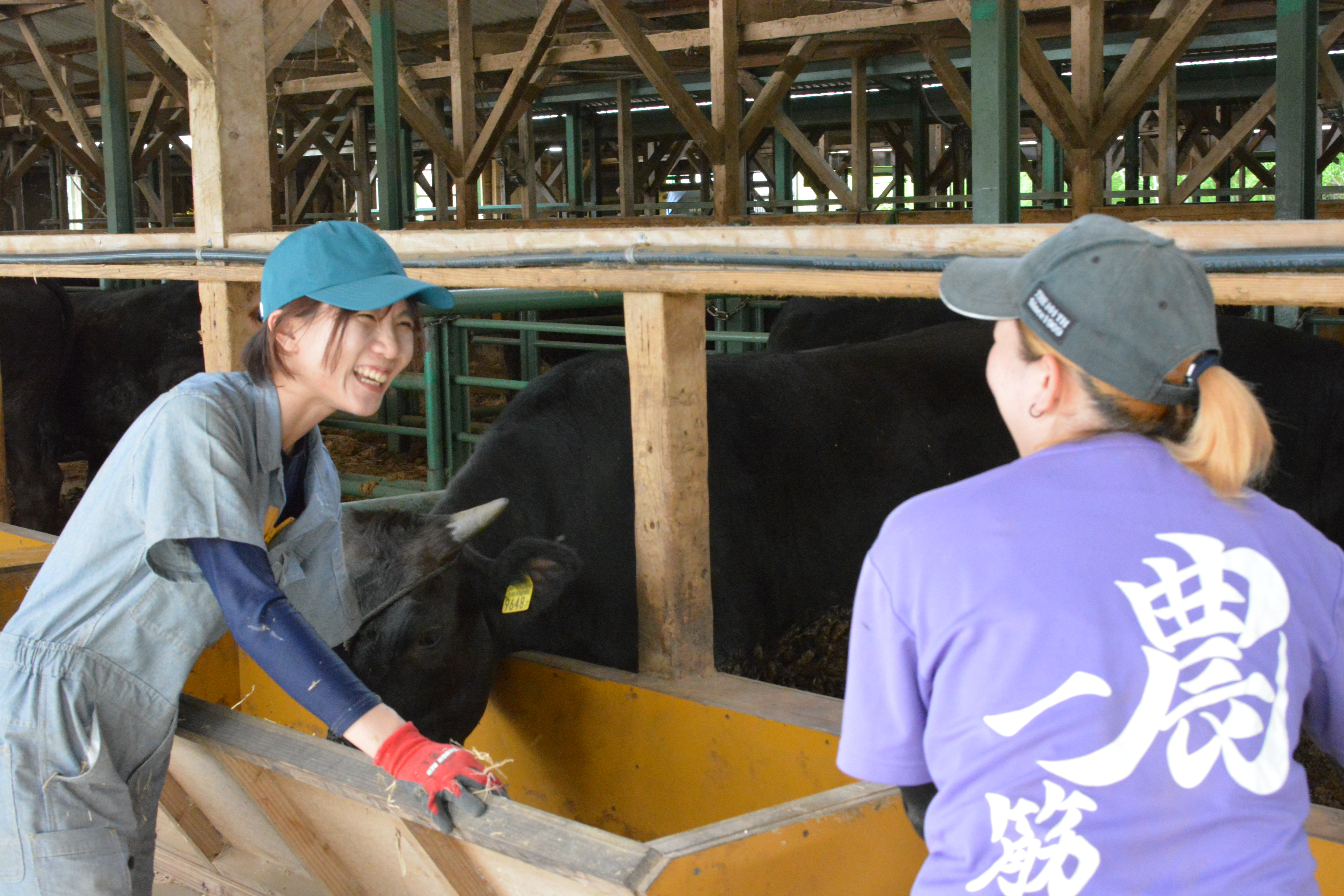 松阪牛サイコロステーキ〔ブレンド〕300g 様々な肉質を食べ比べ!網焼きやバーベキューに最適「まるよし」送料無料 500g