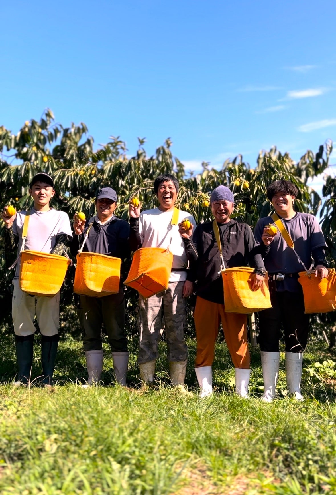 〔無添加ドライフルーツのセット 18g8袋入り〕柿の専業農家が愛情を込めて育てた甘柿をスライスカットし、乾燥させた無添加ドライフルーツのセット「柿壺」 宅配