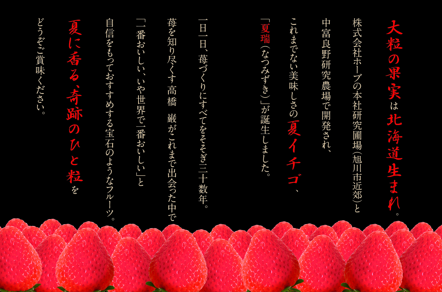 夏瑞プレミアム（５粒入り２パック）限定・先行予約開始！奇跡の夏イチゴ ＜6月中旬から発送＞「株式会社ホーブ」 宅配 プレミアム5粒×2パック