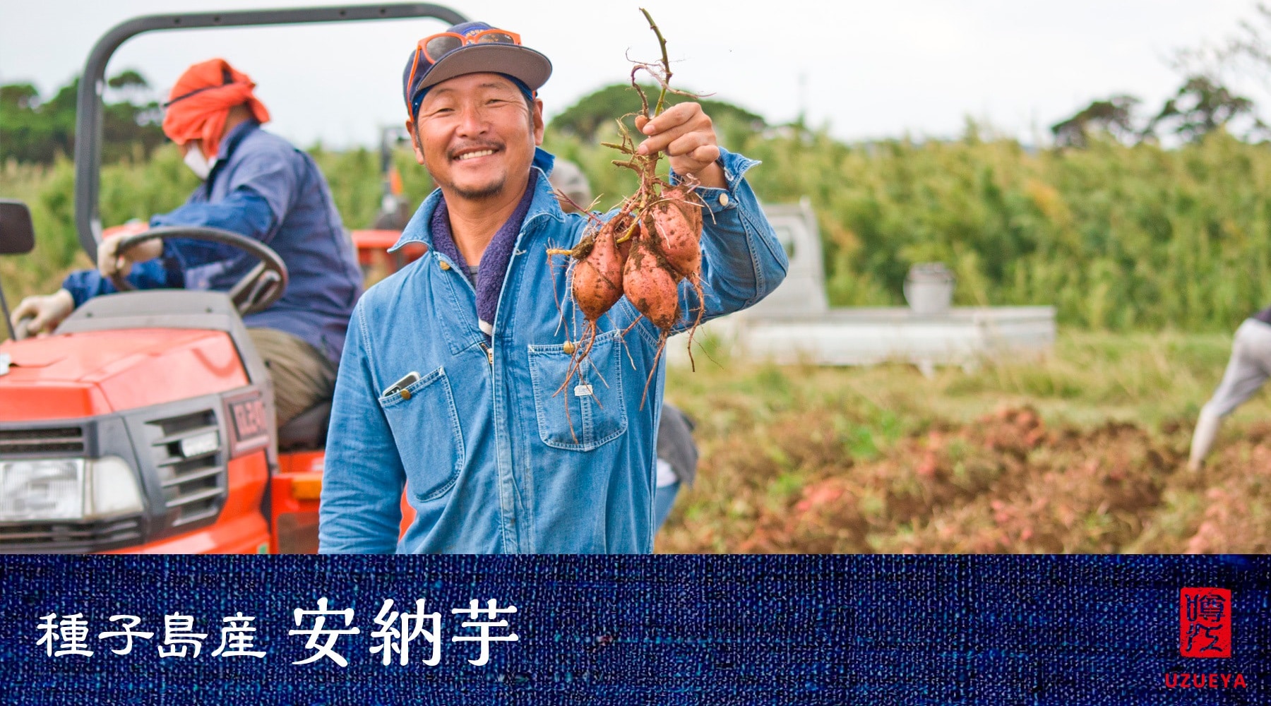 種子島産 安納紅いも3kg ねっとり甘い!10月下旬より順次発送!「株式会社うずえ屋」 宅配 3kg