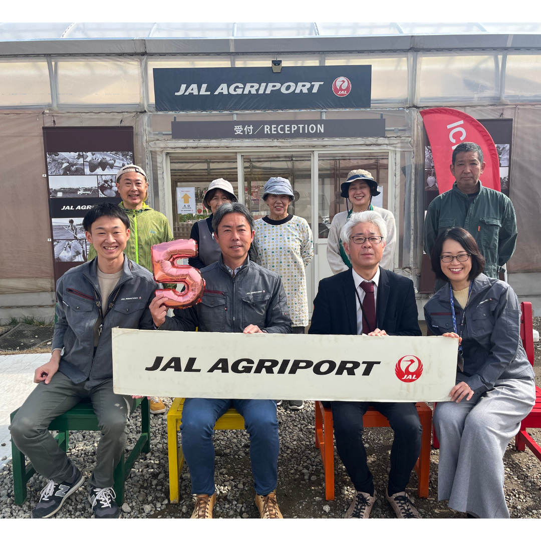 1箱2パック「JAL Agriportのいちご」JALの直営農園からお届け ファーストクラス採用「JAL Agriport」送料無料 宅配