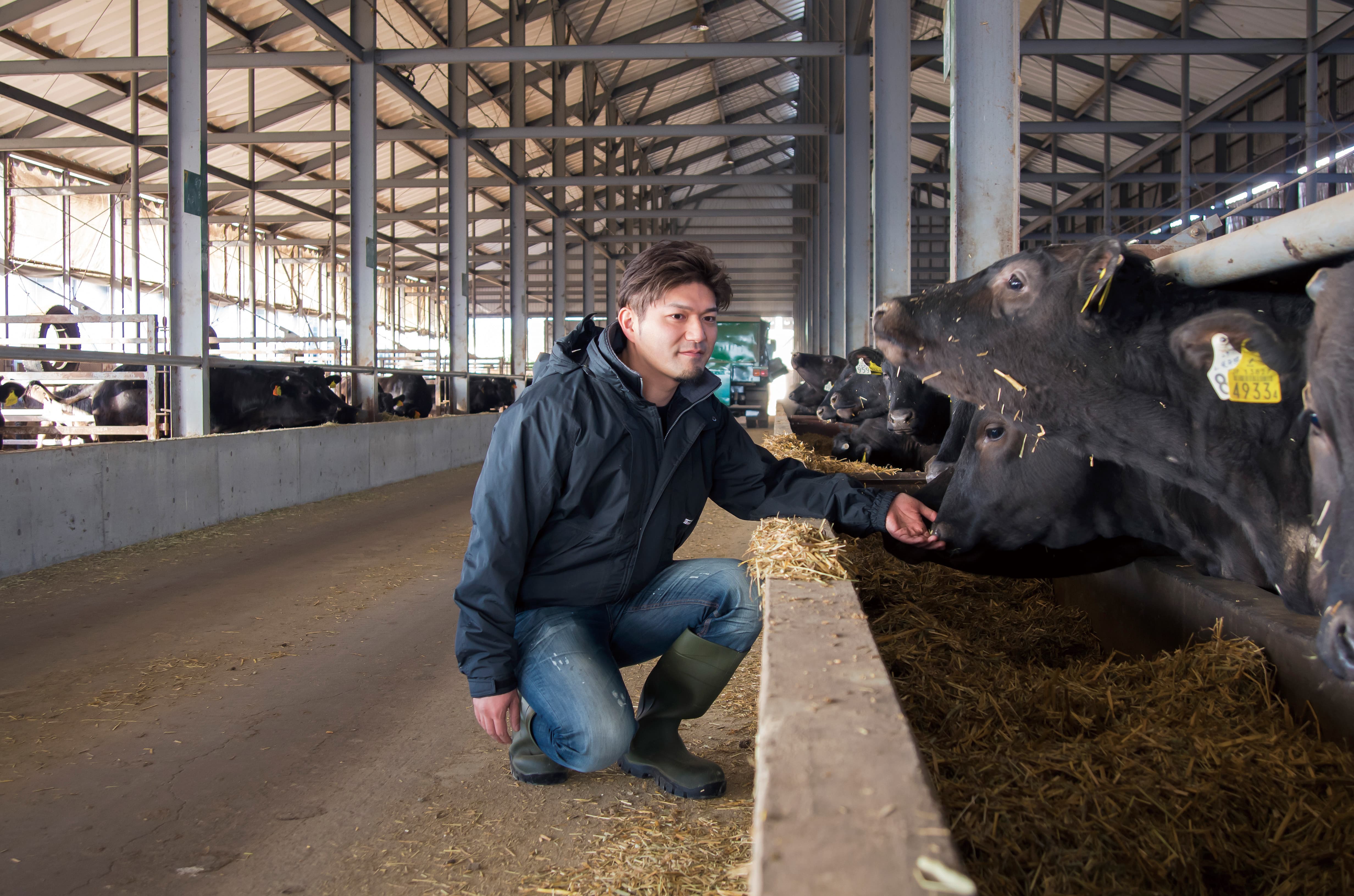 ふらの和牛焼肉・ステーキセット800g「谷口ファーム」〔JALオリジナル〕農林水産大臣賞受賞!口溶けの良い霜降り!産直お取り寄せ 送料無料 宅配