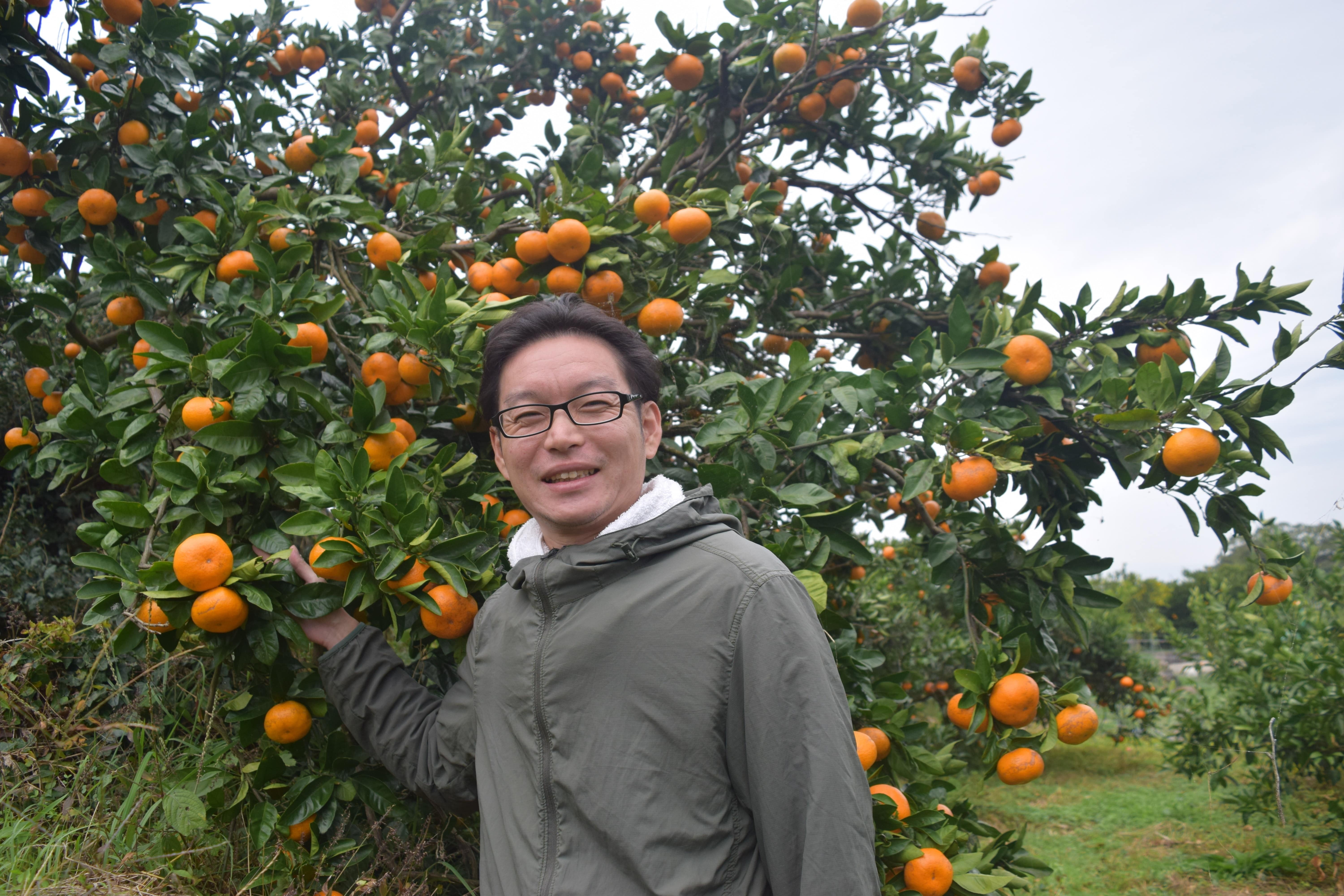 熊本県産完熟温州みかん7kg〔25年10月予約商品!〕美味しさを追求!大人気!「右田柑橘」産直 産地直送 2025 果物 フルーツ みかん 甘い 宅配 7kg