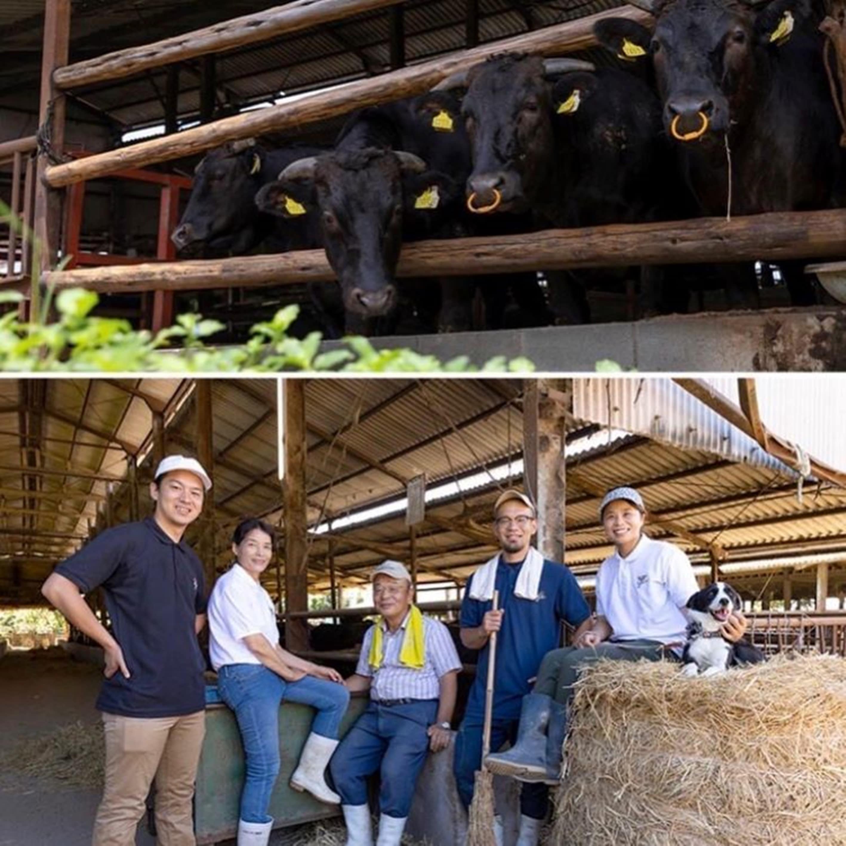 2026新春福袋！A5豊作和牛詰め合わせ「薄切り肉2パック・ダイヤモンドミンチ2パック」計1.2kg 限定10セット販売！コスパ・満足感最強！「豊作ファーム」産直お取り寄せ 宅配