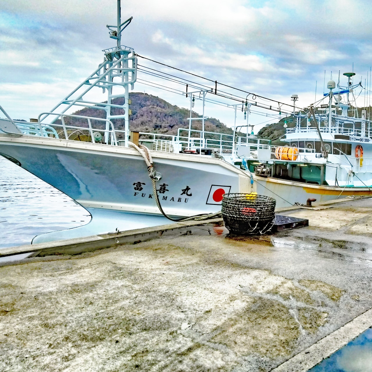 隠岐生松葉ガニ(超一級品1枚・タグ付)カニの旬は今だけ!隠岐の島の宝物★「海士物産」送料無料 宅配 宅配・松葉ガニ1枚(650g-750g)
