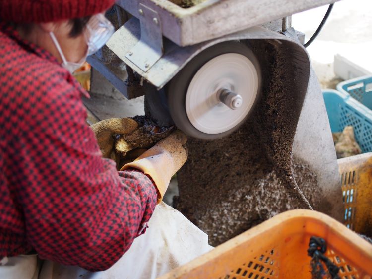 隠岐いわがきLサイズ(300g～349g) 12個セット(3.6㎏～4.1㎏)「有限会社海士物産」 宅配 Lサイズ12個セット