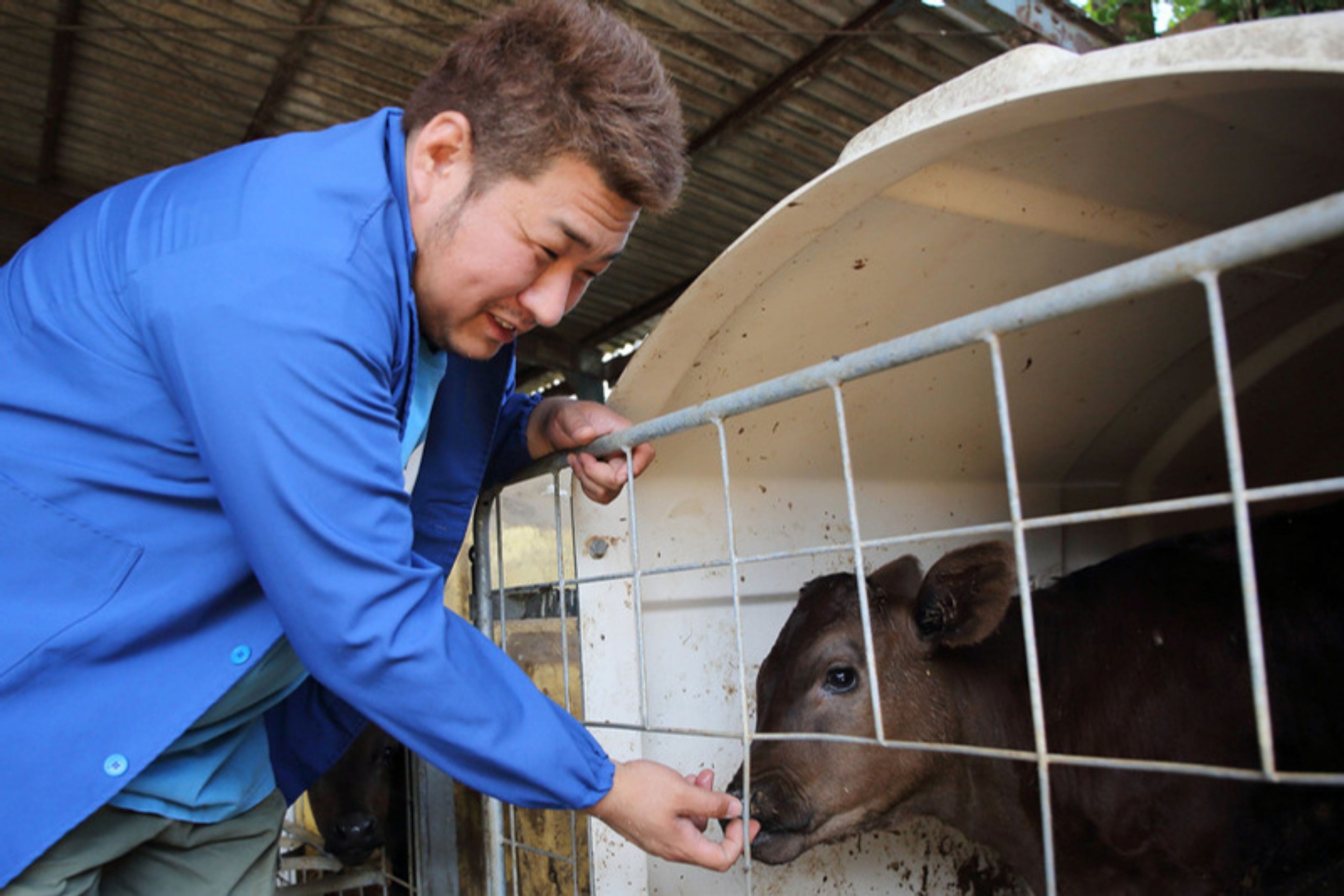 馬刺し!!特選霜降240g+醤油48ml 熊本県自家牧場産!!「肉のたかむく」 マイル 霜降