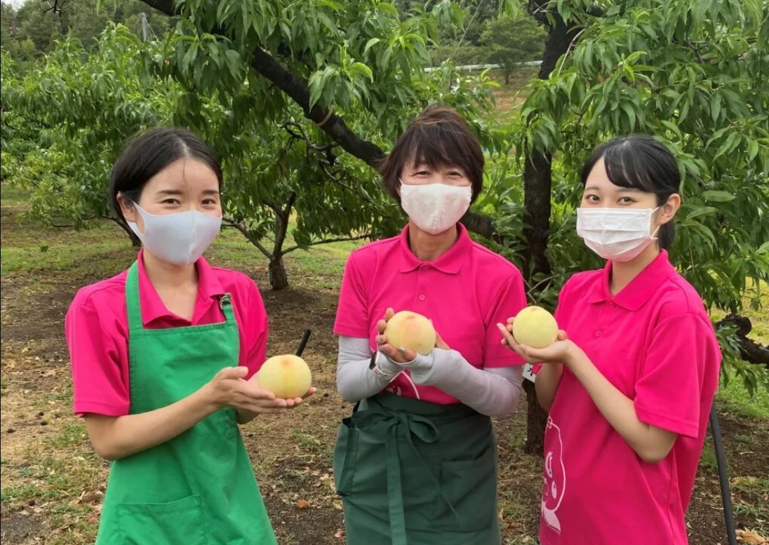 岡山白桃 5玉 約1.5キロ《超特級 光センサー厳選》「桃茂実苑(ともみえん)」 宅配 宅配