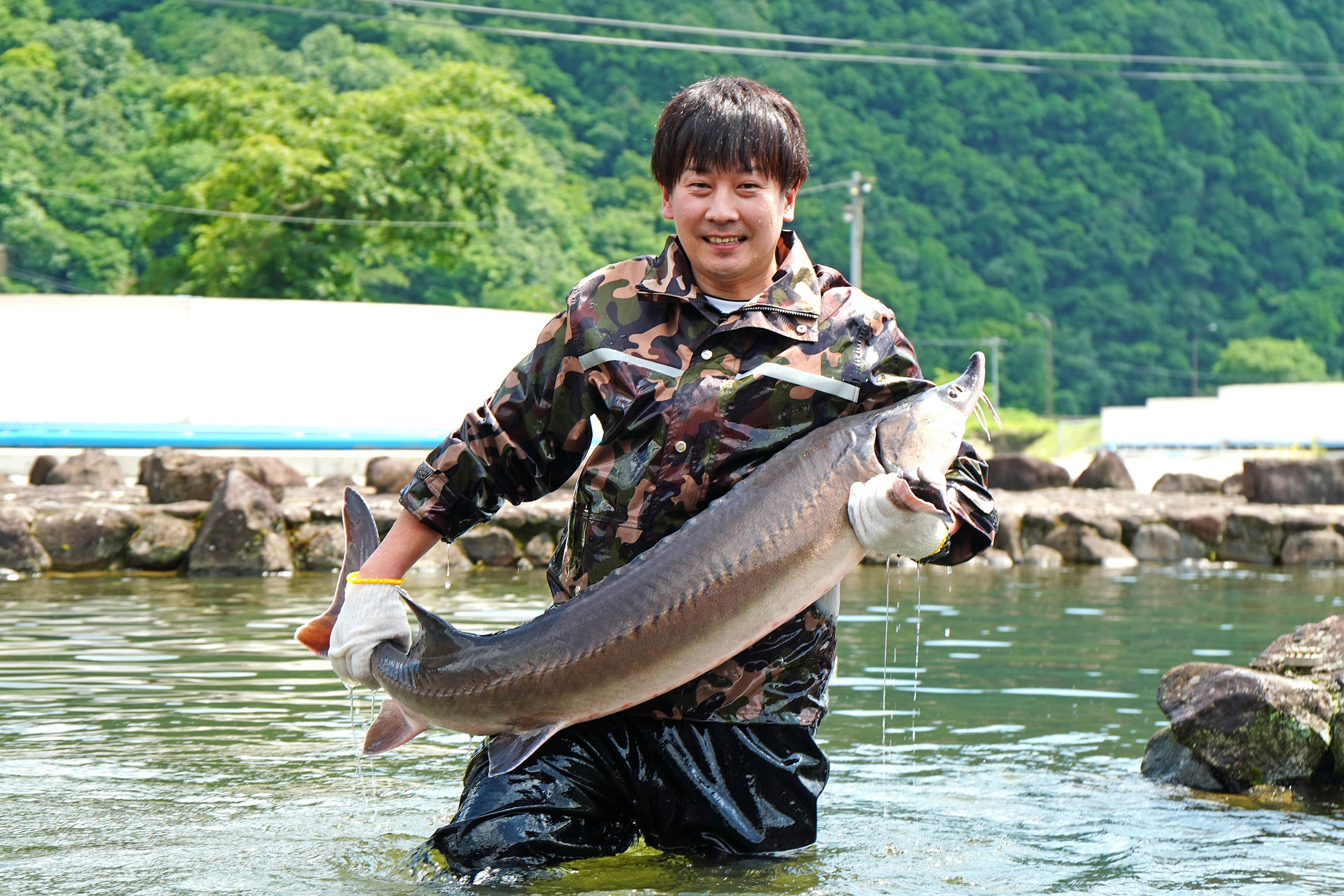 新見フレッシュキャビア　醤油味 15ｇ「蝶鮫屋」 宅配
