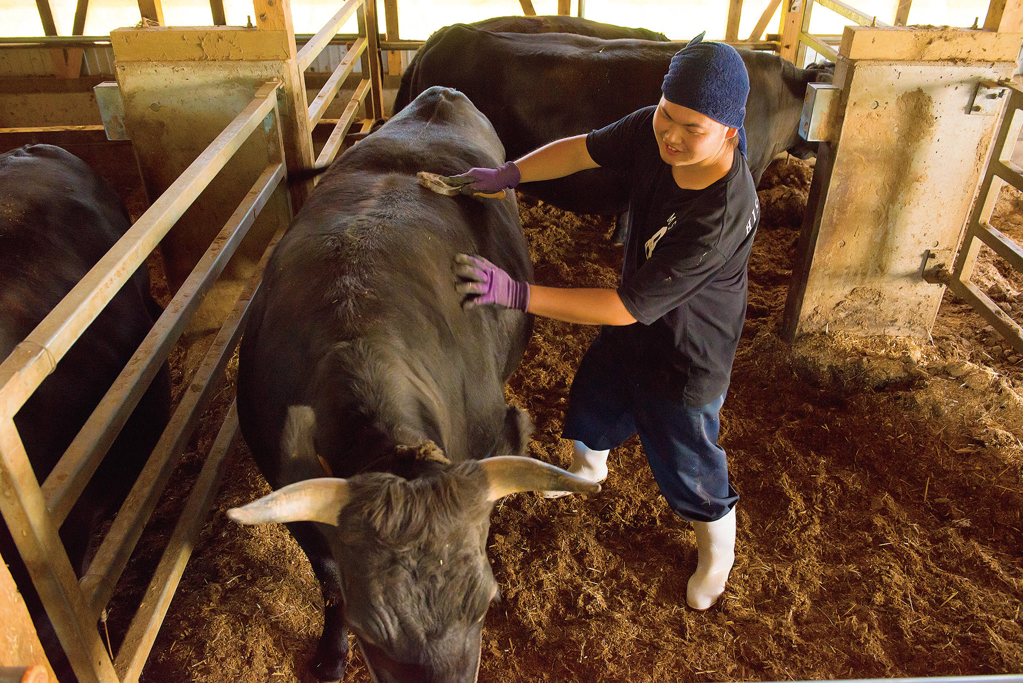 米沢牛焼肉食べ比べセット〔サーロイン・ロース・肩ロース・肩・モモ・バラ 各60g（計360g）〕6部位の食べ比べ！創業100年の米沢牛の老舗が秘伝の目利きで厳選！「米沢牛黄木」産直 産地直送 2025 肉 牛肉 和牛　マイル　送料無料 宅配