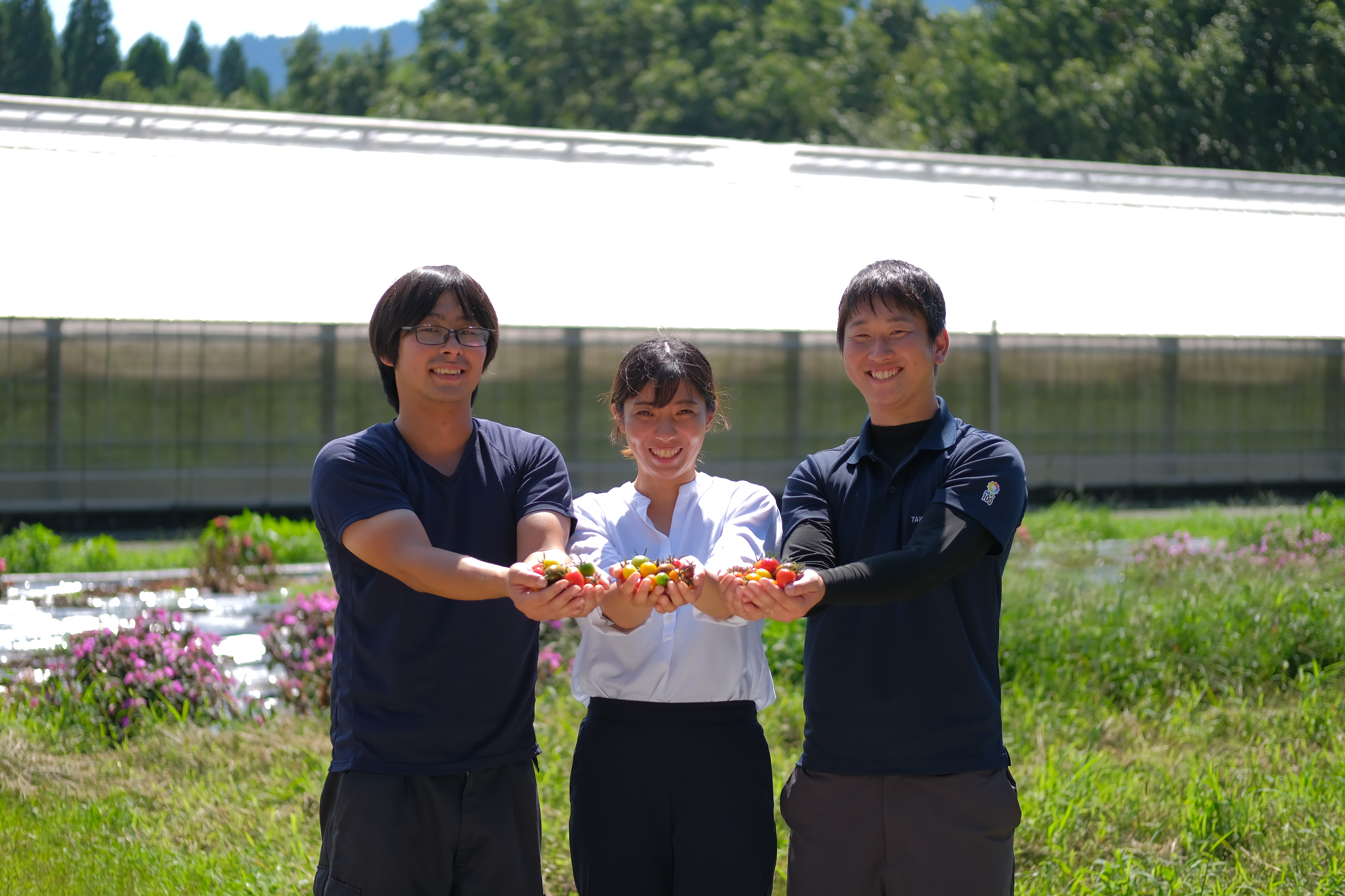  〔15～20種のアーティフルミニトマト1㎏〕ミニトマト生産量日本一の熊本県産〔ご家庭向け・お料理の彩りに〕「アーティフル」 宅配 1kg