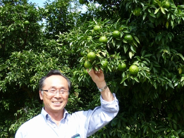 宮ゆべし ゆずを使った伝統的な珍味「床井柚子園」 宅配