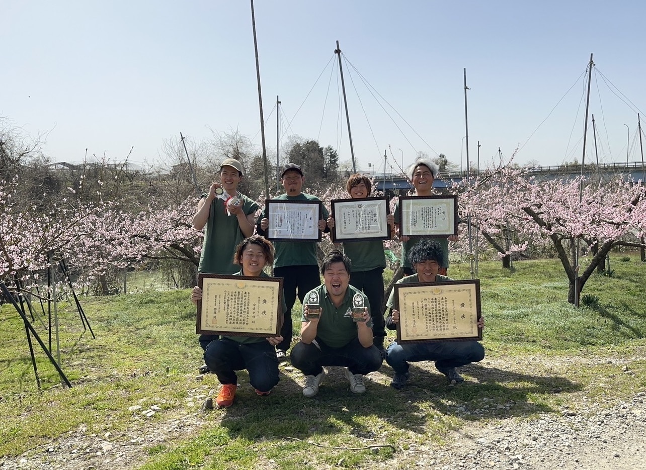 ラ・フランス 秀品 3kg5-9玉 11月中旬から発送 送料無料「アンスリーファーム」 宅配 秀品8-12玉 3kg