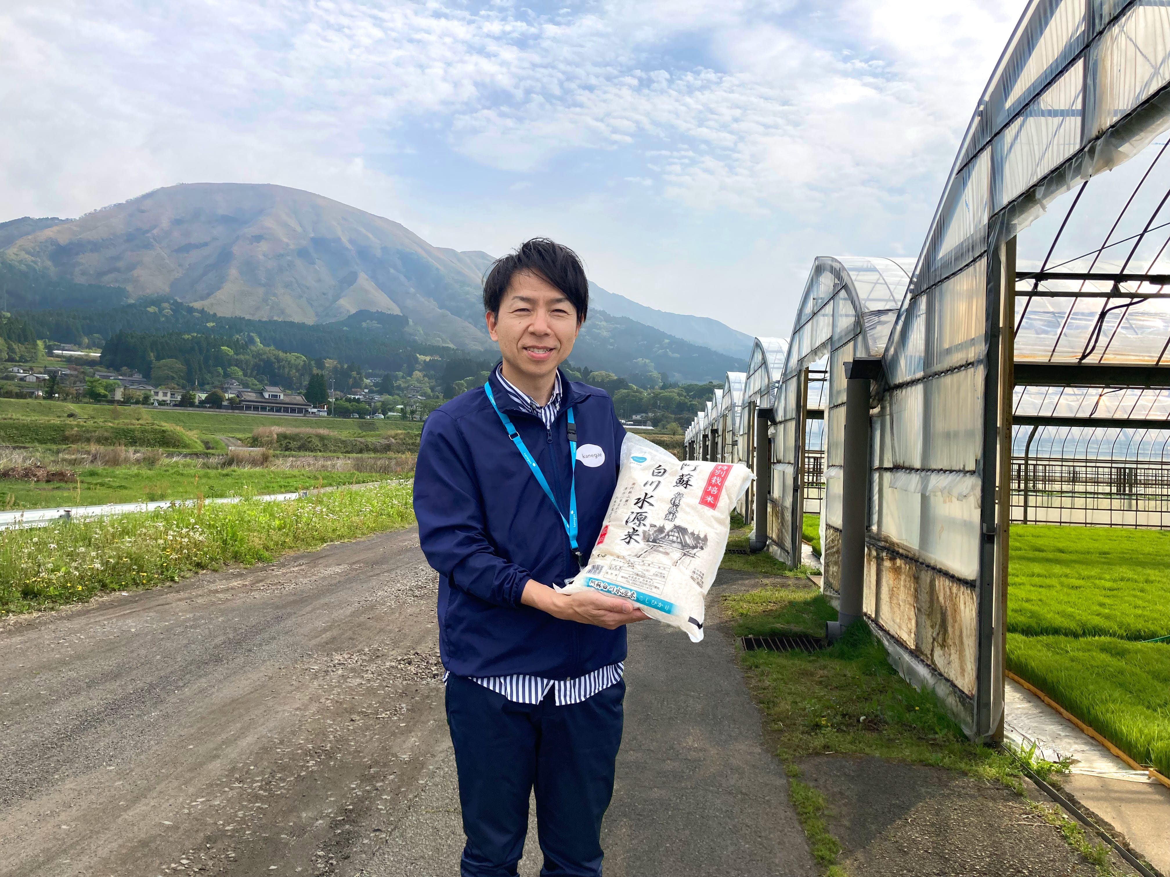 阿蘇こしひかりパックご飯(180g×12個入) ※賞味期限2026年3月※ 電子レンジ炊きあがり！「株式会社カネガエ」送料無料 宅配 12個入
