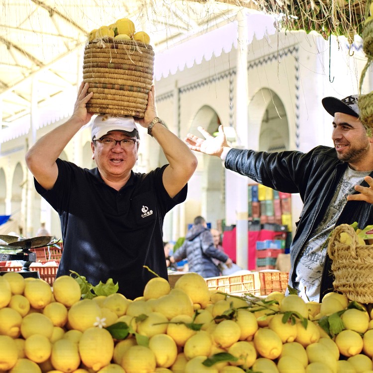 媛一ジュース小瓶(160ml)x20本_甘平 愛媛柑橘果汁100%!「小林果園」 宅配 甘平x20本