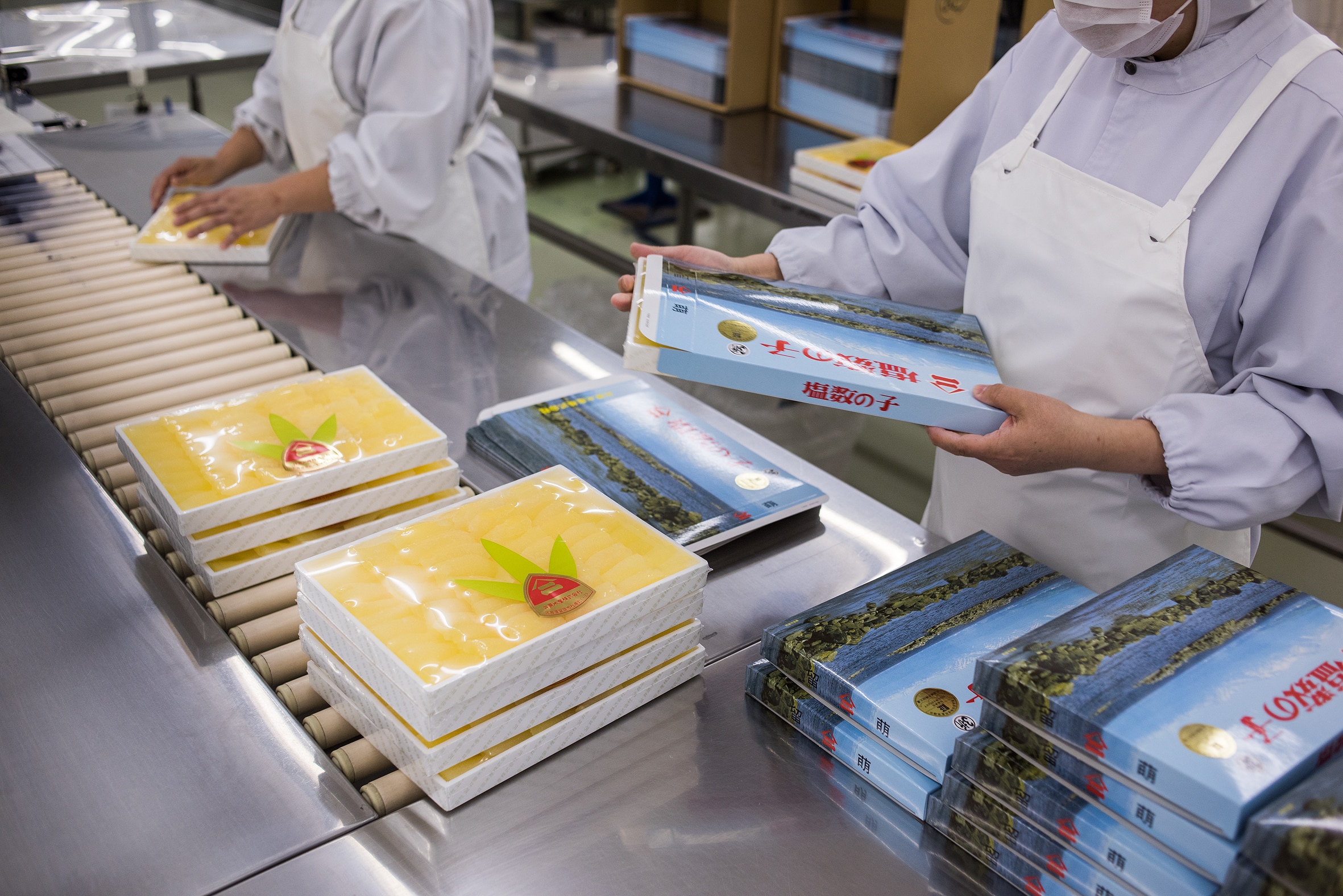 味付数の子 500g(250g×2）[井原水産株式会社］ 宅配