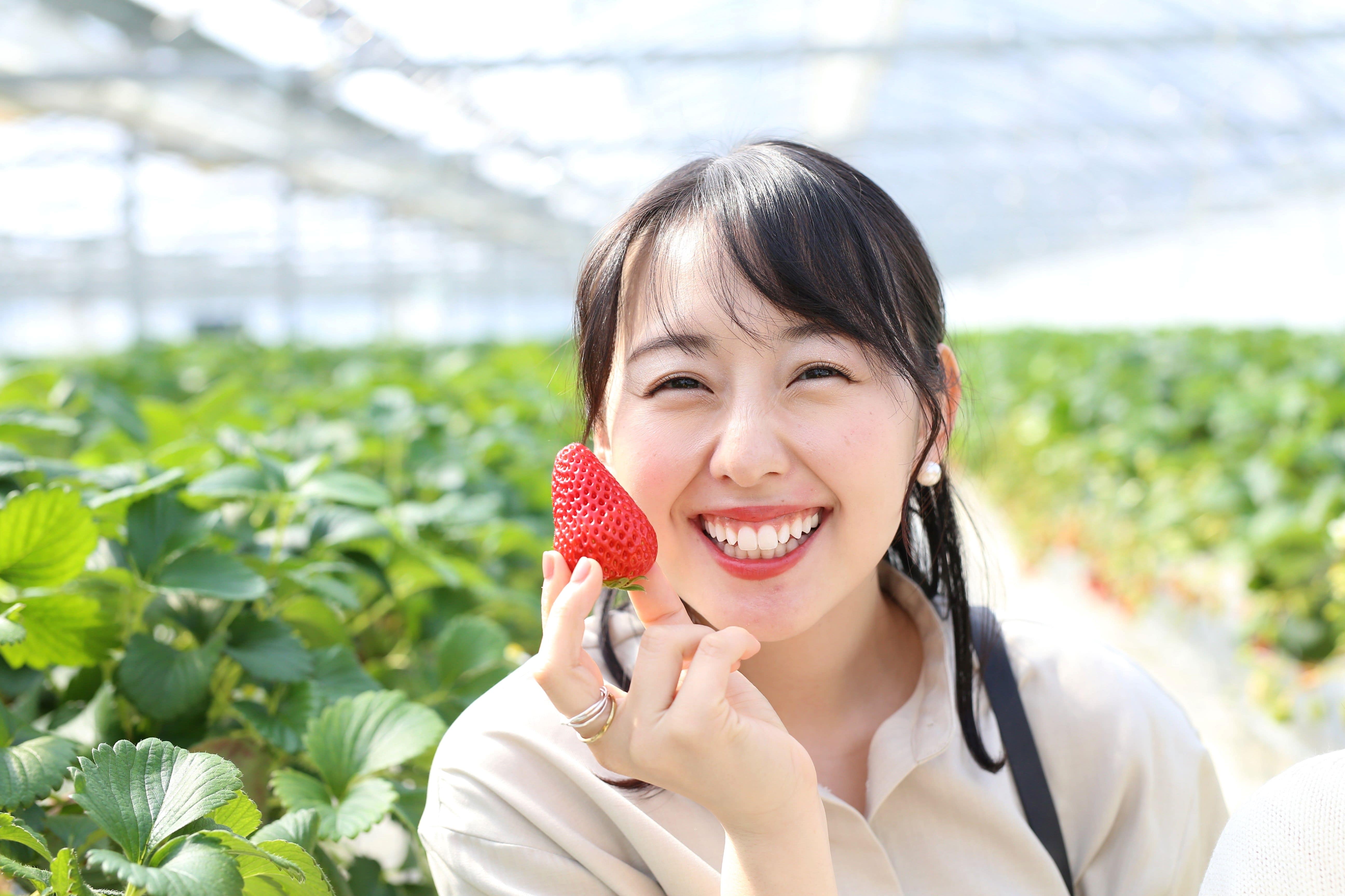 〔贈答用美作苺〕約800g「美作農園」全国いちご選手権銀賞受賞！岡山県推奨ブランドいちご　送料無料［有限会社美作農園］ 宅配 800g