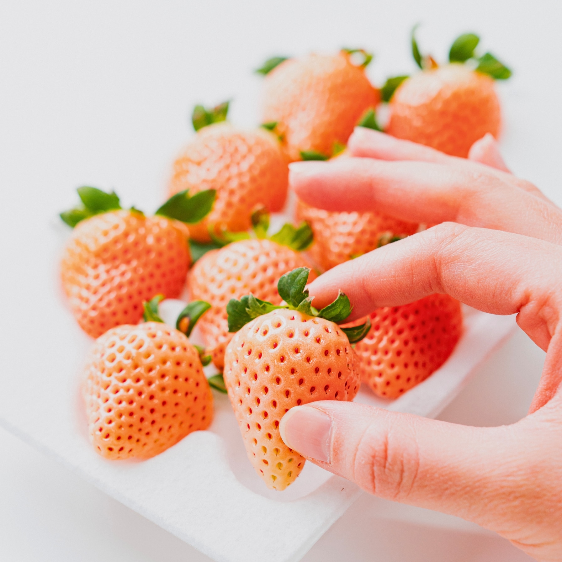 【お歳暮先行予約限定】雅乃苺 淡雪 2パック入り【株式会社イチゴラス】 宅配