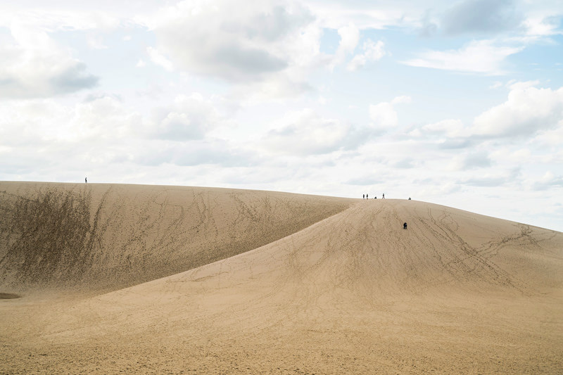 鳥取のトマトを使った【大原トマトケチャップとトマトゼリー三種セット】＊送料無料「有限会社サンパック」 宅配