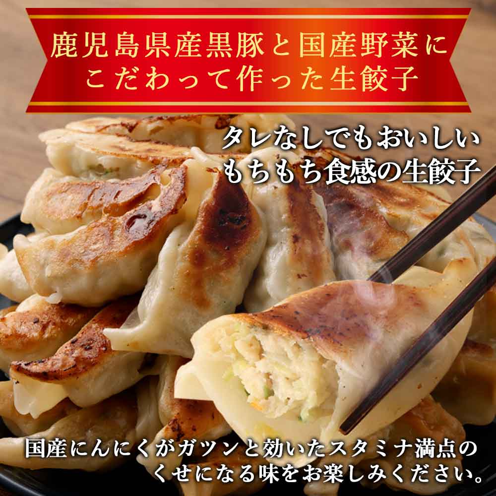 たれのいらない黒豚餃子にんにく12個入り×4袋「薩摩川内市観光物産協会」 宅配 4袋（48個）