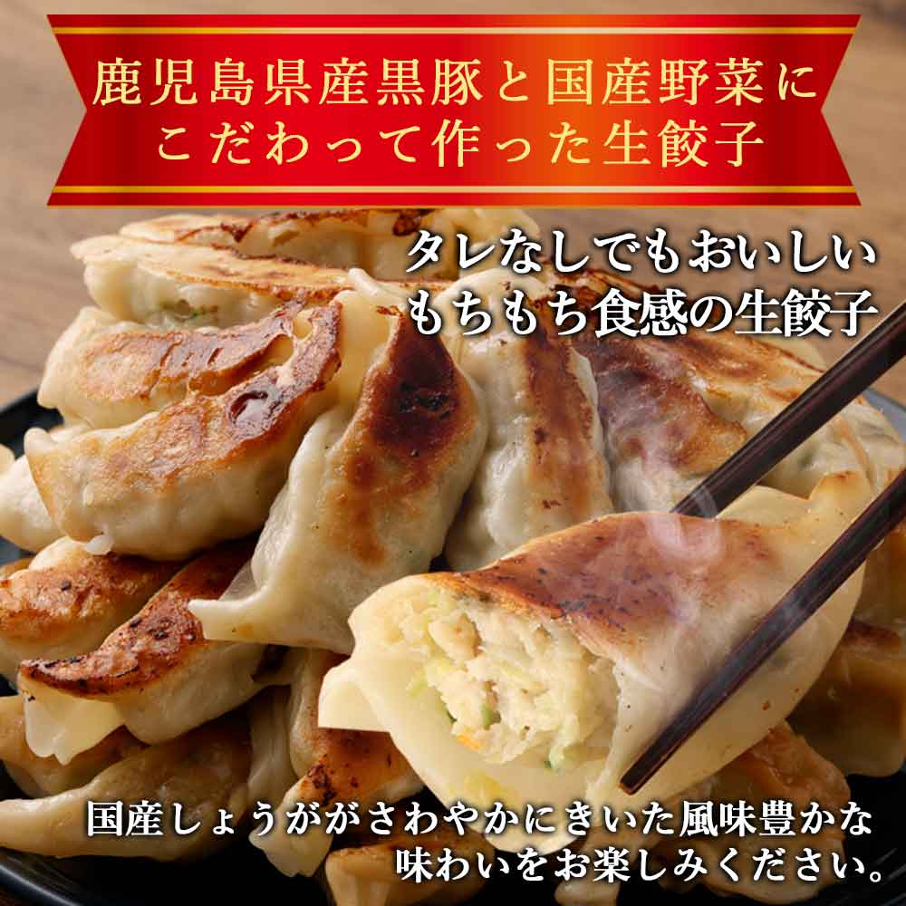 たれのいらない黒豚餃子しょうが12個入り×4袋「薩摩川内市観光物産協会」 宅配 4袋（48個）