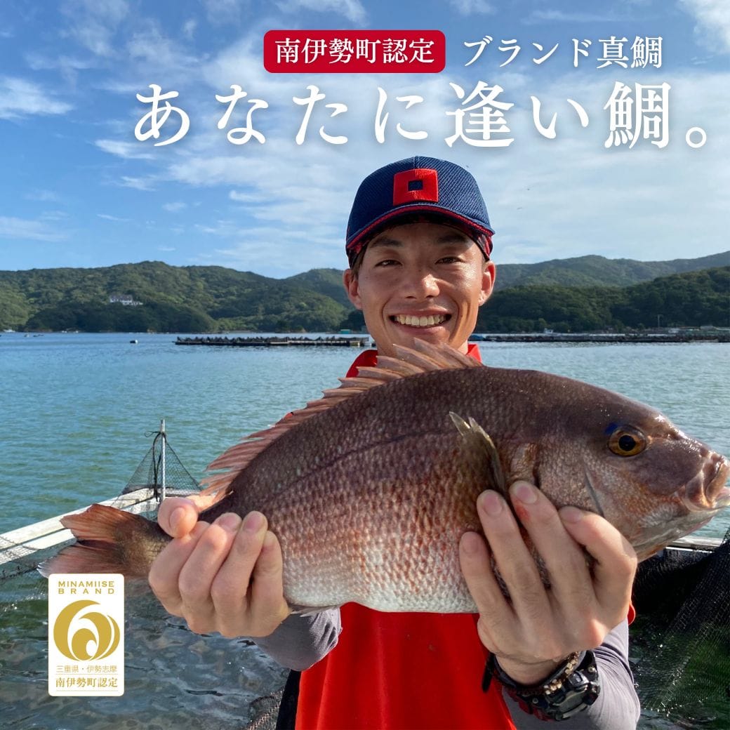 南伊勢町認定ブランド真鯛「あなたに逢い鯛。」3枚おろし・皮あり〔お正月予約〕［株式会社REALWORKS］ 宅配