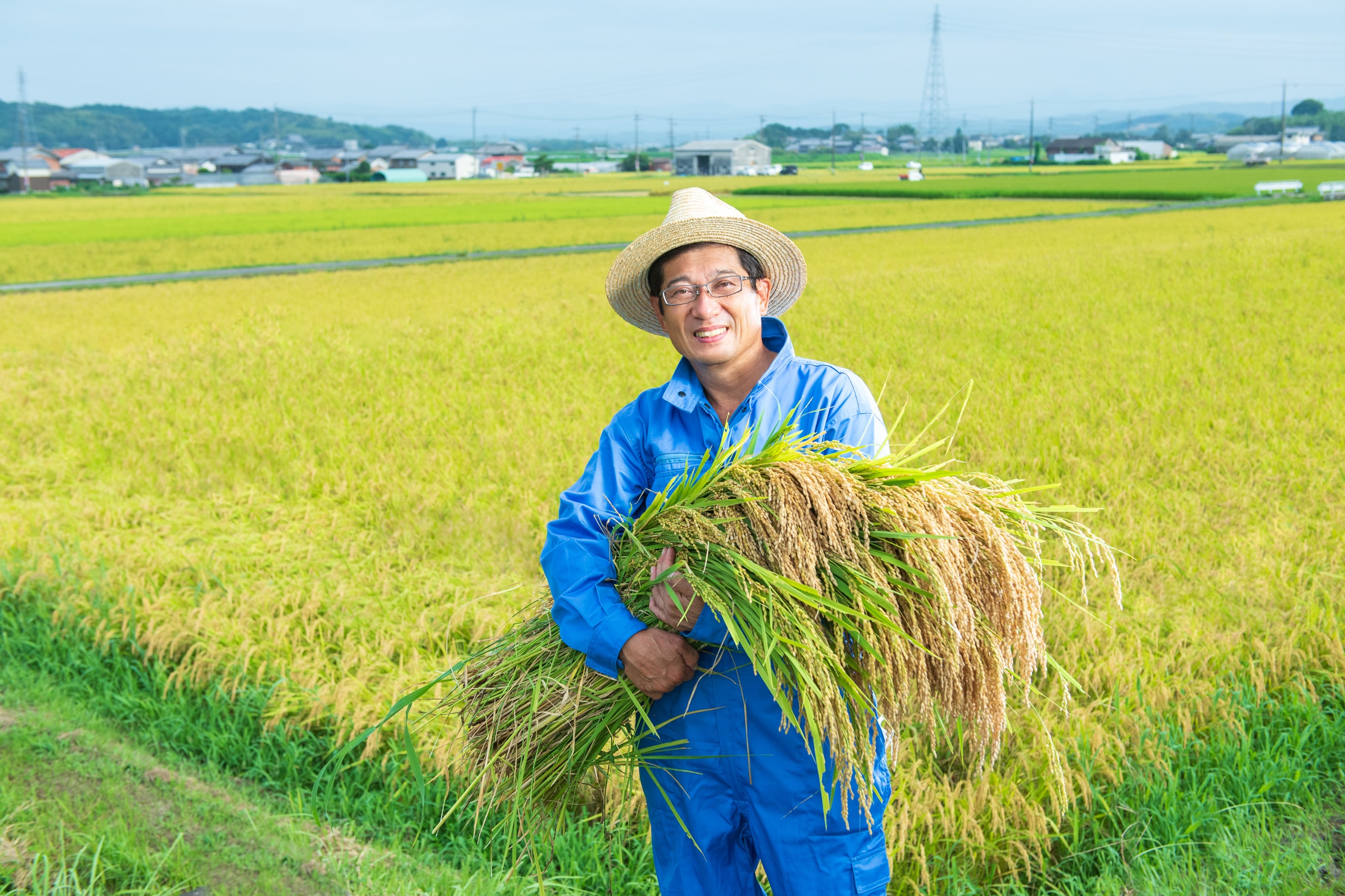 10㎏ 伊賀米みえのゆめ 特別栽培米〔令和７年産新米！〕「西山農園」送料無料 宅配 みえのゆめ10㎏