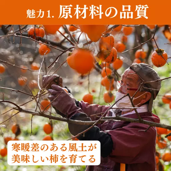 【予約販売のみ】〈ちょっとしたご褒美に、コクのある甘みを〉贈答用 伊達のあんぽ柿(蜂屋柿)9個|JAふくしま未来 宅配