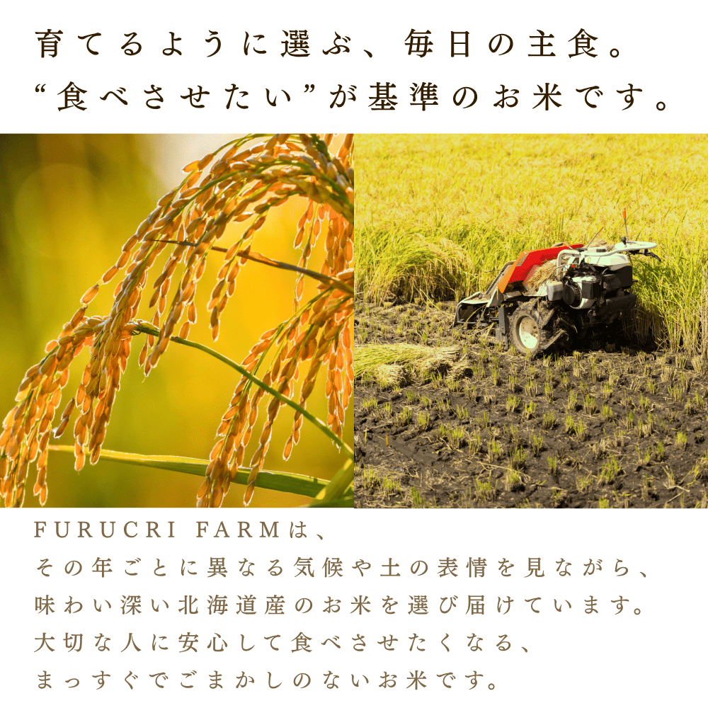 令和7年産ゆめぴりか3kg（精米）[FURUCRI FARM] 宅配 3kg