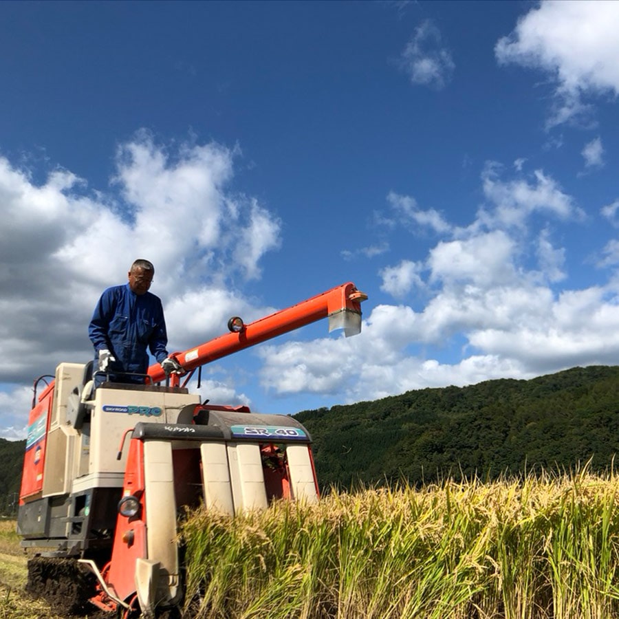  「令和７年度」北海道産ゆめぴりか10kg　「温泉熱で芽吹く、濁川の恵み米。」［株式会社ワイエス海商］ 宅配 10k g