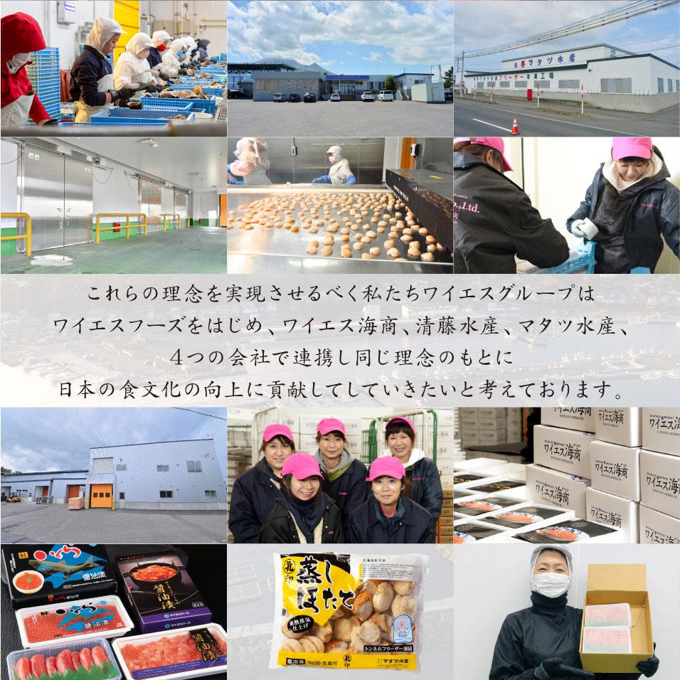 北海道産 冷凍ホタテ貝柱(刺身用)1kg【株式会社ワイエス海商】 宅配 100サイズ