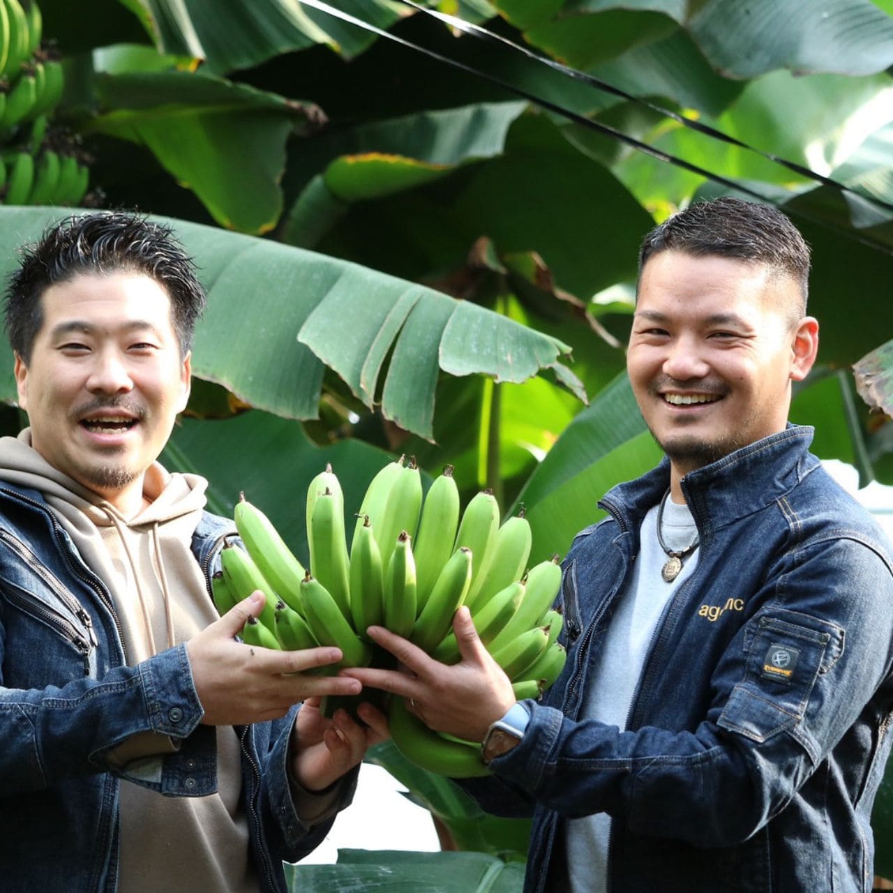 京都はんなりばなな　スムージーBOX(5個入り)[株式会社アグオル] 宅配